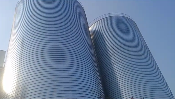 泾源2座混凝土高架卷板仓